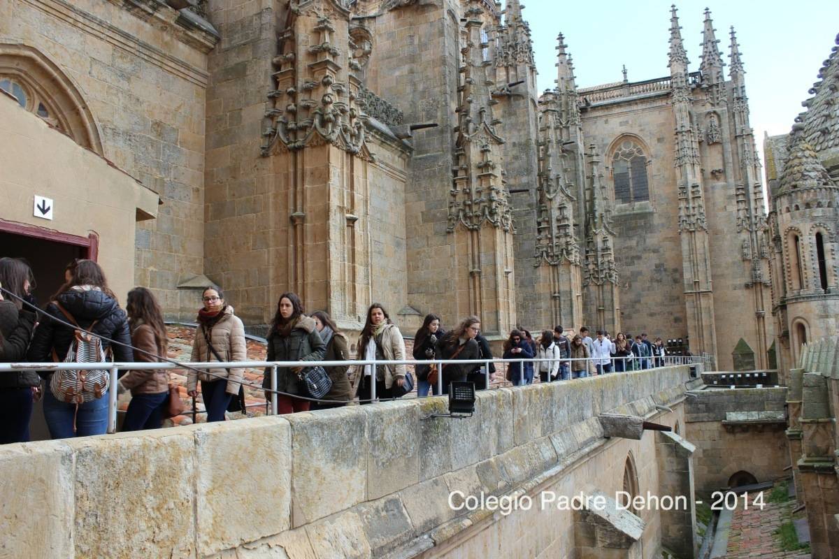 2014 03 22 SALAMANCA IERONIMUS CATEDRAL (100)